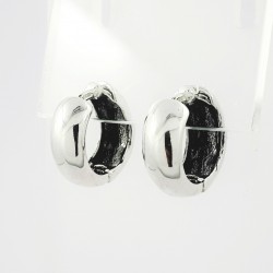 Sidabriniai auskarai 3.90g