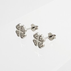 Sidabriniai auskarai su...