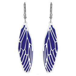 Sidabriniai auskarai su...