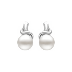 Sidabriniai auskarai su...