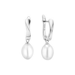 Sidabriniai auskarai su...