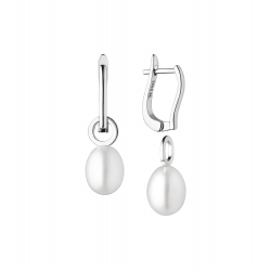 Sidabriniai auskarai su...