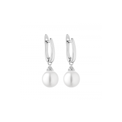 Sidabriniai auskarai su...