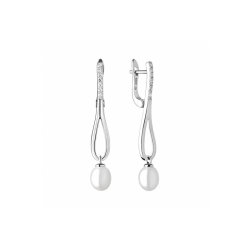 Sidabriniai auskarai su...