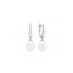 Sidabriniai auskarai su...