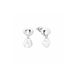 Sidabriniai auskarai su...